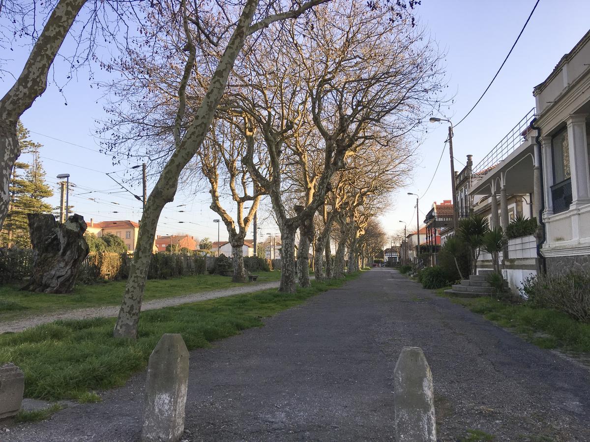 Lv Premier Granja Villa- Gr1 Sao Felix da Marinha Ngoại thất bức ảnh